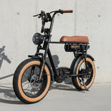 Cruiser Electric Bike