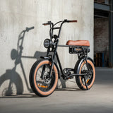 Cruiser Electric Bike